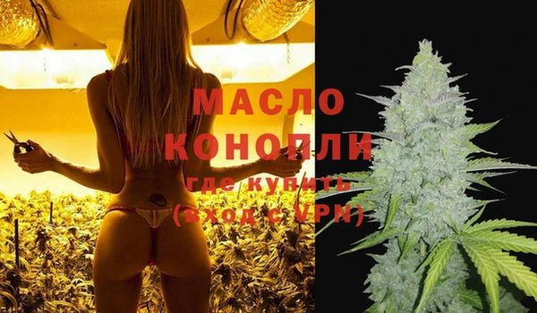 амф Горняк