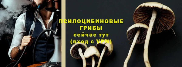мяу мяу мука Горнозаводск