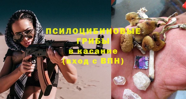 амф Горняк