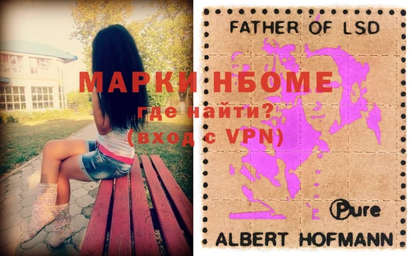 амф Горняк
