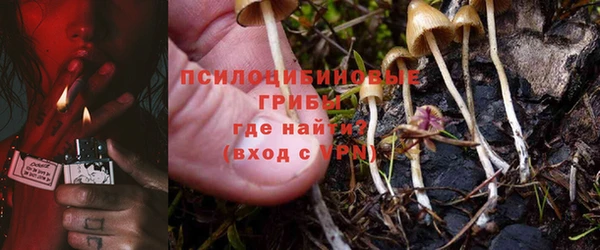 эйфоретик Горно-Алтайск