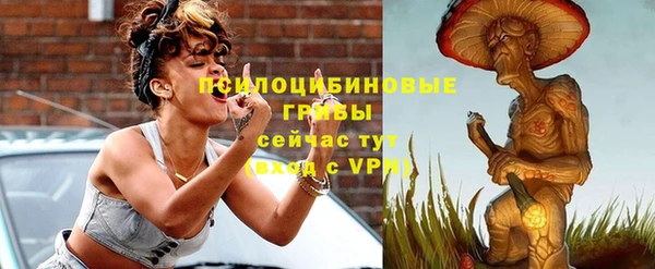 амф Горняк