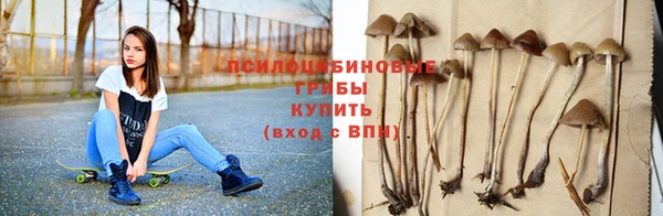 мяу мяу мука Горнозаводск