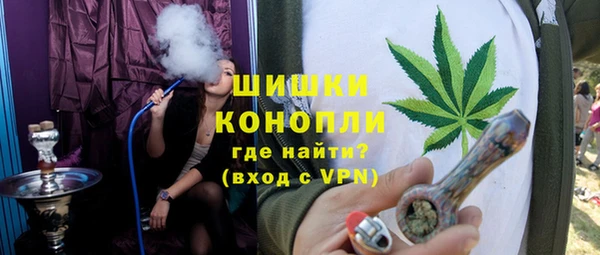 амф Горняк